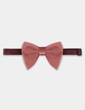 Brown S Velvet Bow Tie